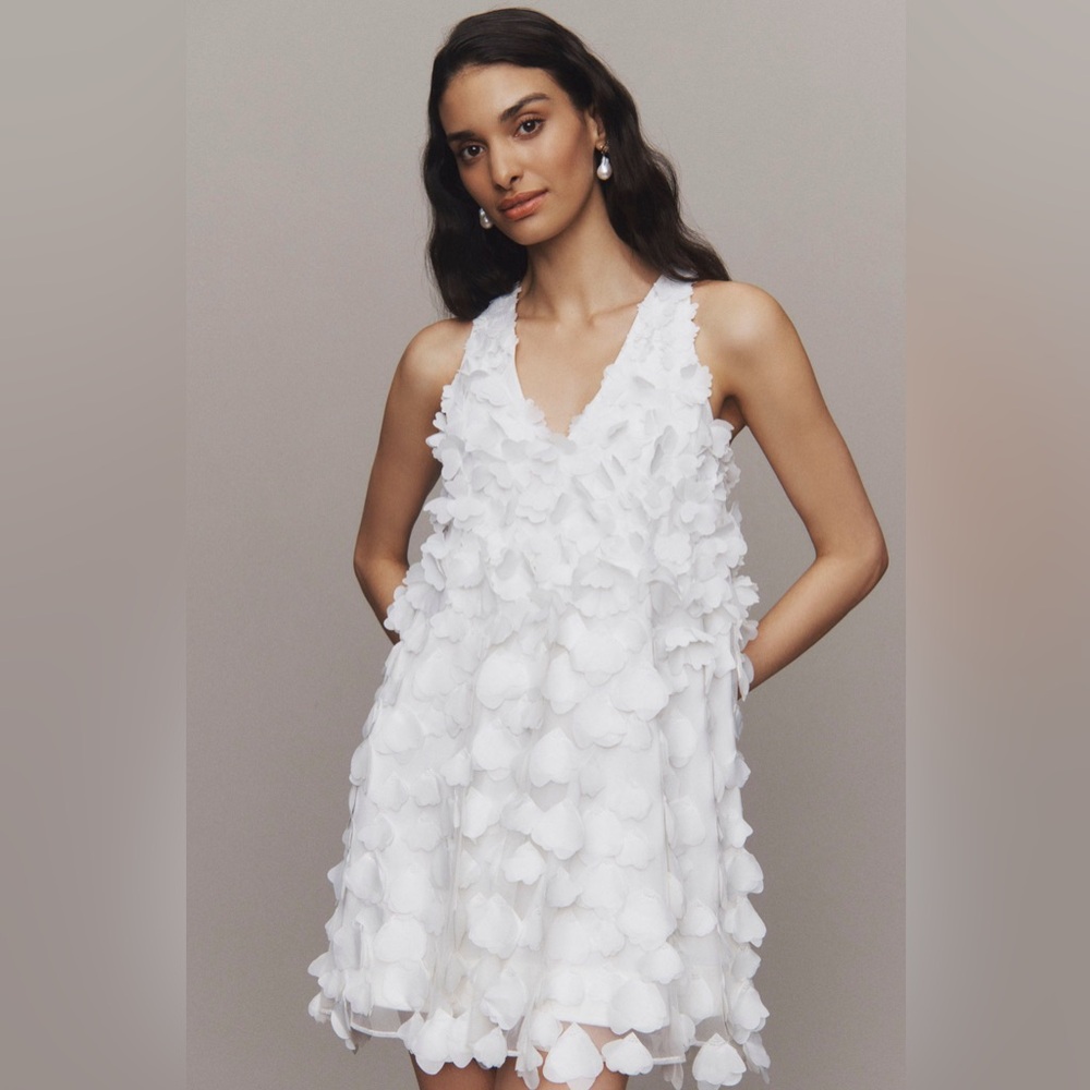 BHLDN Sleeveless 3D Floral V-Neck Swing Mini Dress